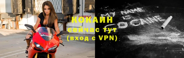 молекула духа Осинники
