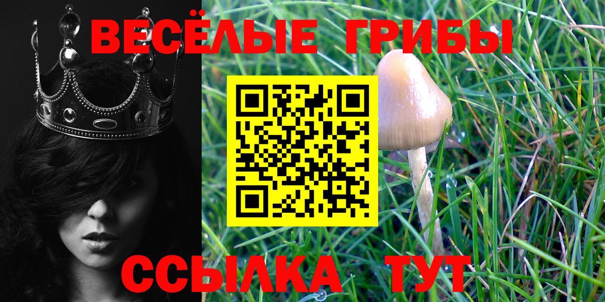 Галлюциногенные грибы мухоморы Лысьва