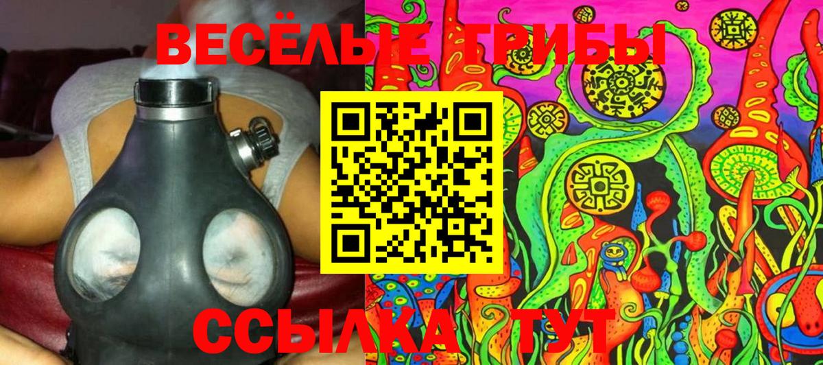 Галлюциногенные грибы GOLDEN TEACHER  Псилоцибиновые грибы Psilocybine cubensis  Лысьва  Вход с VPN 